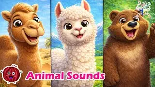 Camel, Alpaca & Bear Sounds 🐪🦙🐻 | Fun Animal Song for Kids