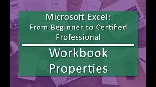 Workbook Properties (02.03) - Microsoft Excel: From Beginner to Certified Professional