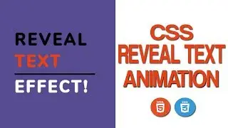 CSS Text Reveal Animation - Text Reveal Effect