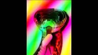 (free) lil euphon type beat (@ST4NKHUNT42)