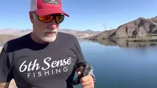 Where to SHORE FISH Lake Mohave Full tour of the spots and how to get there.