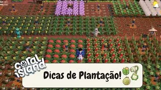 Dicas de PLANTA&Ccedil;&Atilde;O em Coral Island !