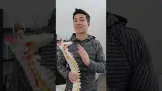 Text neck and neck pain - what you should know