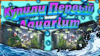 Aquarist►Первые Впечатления►Сделал Красоту