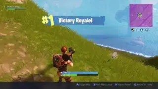 SOLO WIN! Crazy sniper shot!  (Fortnite battle royal)