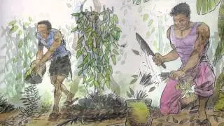 Vanilleanbau in Madagaskar