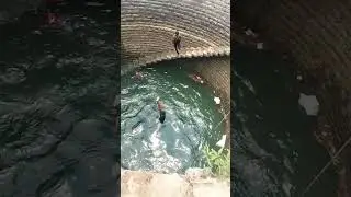 Mass dive😱😱 #trending shorts# swimming  #villagelifestyle #viralpicture #celebrties #specialshots ❤️