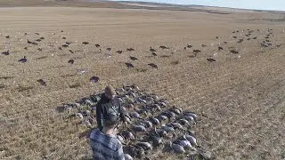 INCREDIBLE Alberta Specklebelly Goose Hunting Death From Below: EP1 &ldquo;Specklebelly Smoke&rdquo;