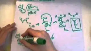 Formation of Imine & Enamine