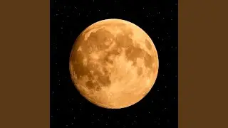 sad violet rain (LoFi, lonely night, moody vibes)