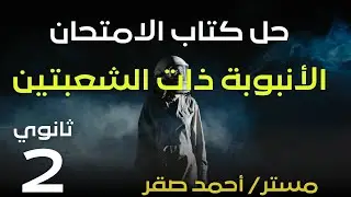 حل كتاب الامتحان - فيزياء تانية ثانوي - 2026 - الأنبوبة ذات الشعبتين