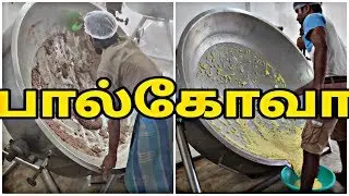 PAALKOVA &ndash; Ambur Country Sugar milk kova | Madhava Milk Dairy | Amazing Indian #paalkova #milkkova