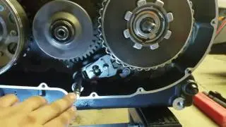 Victory Lloydz Timing Gear 100