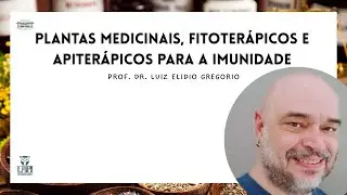 UAPI - Plantas medicinais, fitoterápicos e apiterápicos para a imunidade