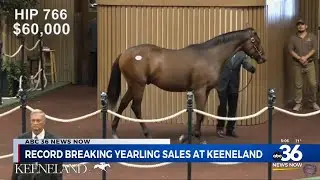 Record-breaking yearling sales at Keeneland