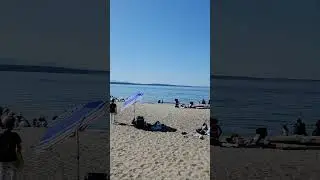 #seattle #alkibeach