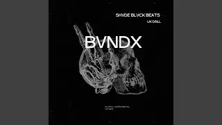 BVNDX