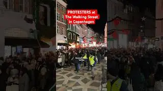 #pal&aelig;stina #palestinewillbefreedom #denmarklive #protest