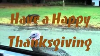 Happy Thanksgiving