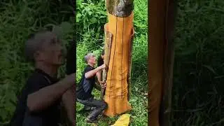 Workers removing bark from a tree‼️‼️😲😲