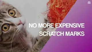 Karlsten Anti Scratch Cat Repellent Spray New Professional Furniture protection Anti Cat Scratching