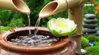 Water Sound For Relaxing, Relaxation Music of Flowing Water. Relieve Stress, Insomnia, Calm The Soul