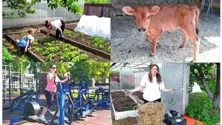 НЕ ОЧЕНЬ ХОРОШИЕ НОВОСТИ 😔 ПОТЕРИ В ХОЗЯЙСТВЕ...🤱🐄🐖🌱