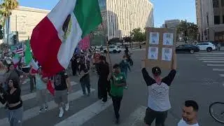 Downtown Los Angeles Protest