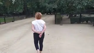 Аскания-Нова. Живность.