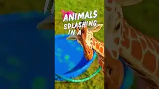 Animals Splashing in the Pool! 🦒💦 #Shorts