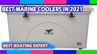 Best Marine Coolers in 2022