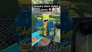 Picnic 😍 #music #song #fun #funny #cool #food #picnic #snacks #pringles #lemonade #park #nature