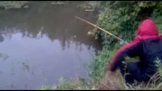 рыбалка на косынку specially for you The Mullet Run - click it ))))))