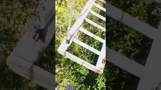 TreeUmph Adventure!