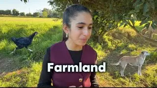 Ein Tag lang in einer Marokkanischen Farm leben ☘️💓