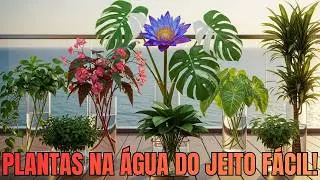 AS 10 PLANTAS MAIS FÁCEIS de CULTIVAR na ÁGUA (GUIA PRÁTICO para INICIANTES)