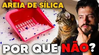 NÃO USE AREIA SÍLICA PARA GATOS POR CAUSA...