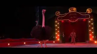 Bande Annonce spectacle 2019 Cirque Claudio Zavatta Haut débit