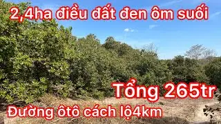 Vẫn còn xót lô đất rẻ 2,4ha cần chuyển nhượng giá tổng cho lô đất chỉ co 265tr còn thương lượng 