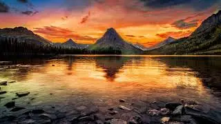 Syngende fugler - avslappende naturvideo - Calming Nature Sounds