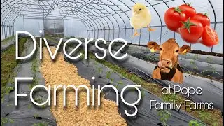 About Our Kentucky Family Farm