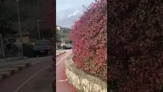 Countryside of Italy