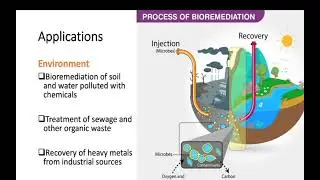 Session 1 Introduction to Biotechnology in Drug Discovery