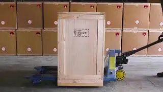 ShockWatch RFID/ Impact Indicator with RFID tag, Spotsee