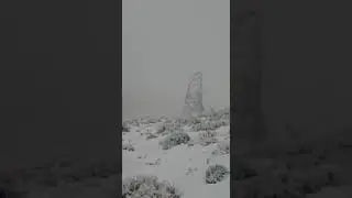 Colapsaron al menos 38 torres de alta tensi&oacute;n en El Escorial, Chubut