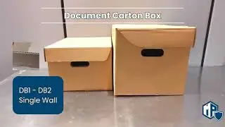 Introduce Carton Box - DB Series | Prefect for Document Storage & Moving House