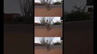 Front Blunt by Caleb Smith, as seen in Ritual III | Arizona Skateboarding | Ritual Skateboards