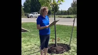 CWL Centenary Tree Planting