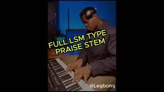🔥 LSM-Type Praise stem🔥