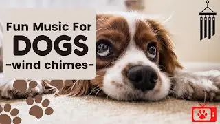 Fun Music For Dogs - Wind Chimes | Happy Exciting Sounds For Dogs (30 Minutes)